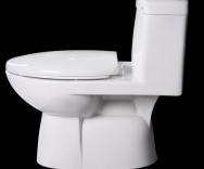 One Piece Toilets LI032V